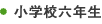 小学校六年生