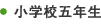 小学校五年生