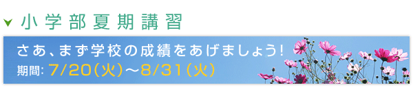 中学部 夏期講習
