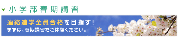 2011年 春期講習のご案内