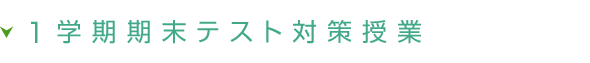 附属天王寺中学校 1学期期末テスト対策授業