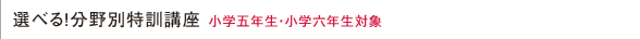 選べる!分野別特訓講座