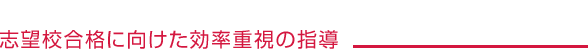 志望校合格に向けた効率重視の指導