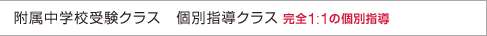 個別指導コース